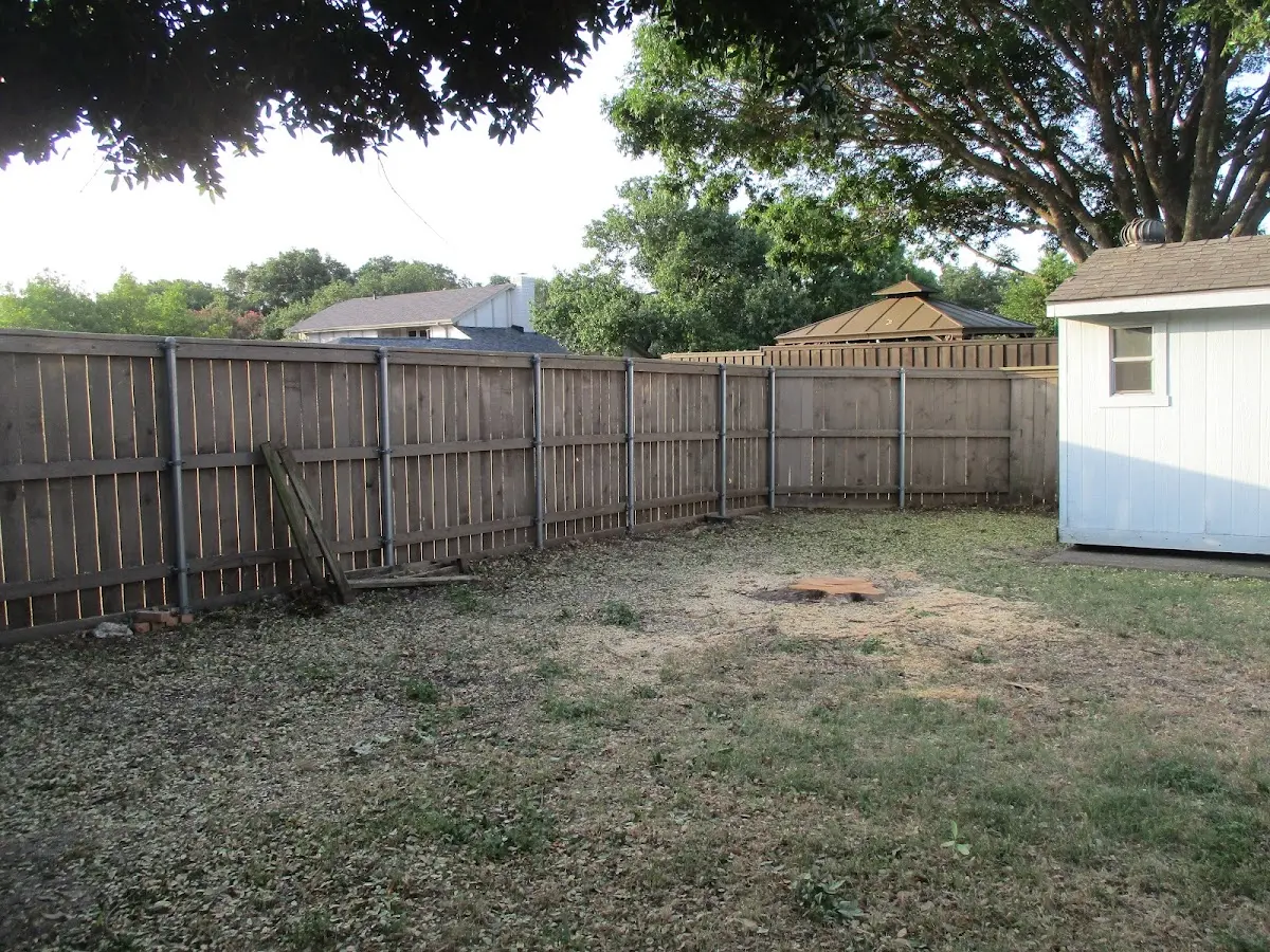 Cleared yard after professional tree removal in Pen Argyl
